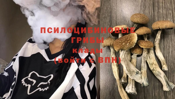 прущая мука Алзамай